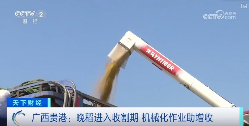 市场平稳，优质优价！颗粒归仓绘“丰”景