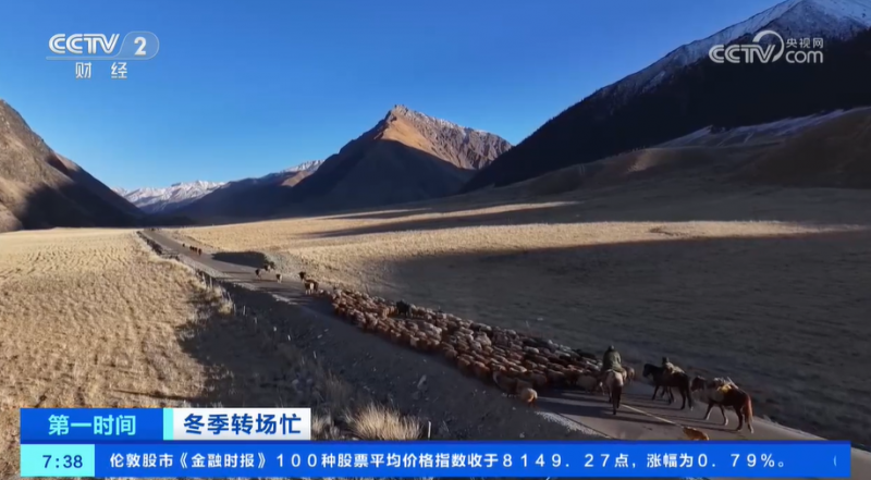 冬季转场忙 新疆伊犁河谷开启冬季转场 一起去看牧民们的转场生活