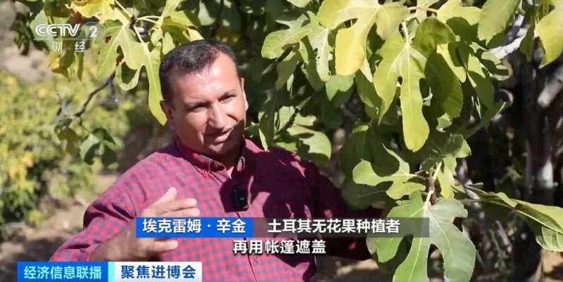 原产地好物直达！“可可大国、香草王国”：我家好物来进博→