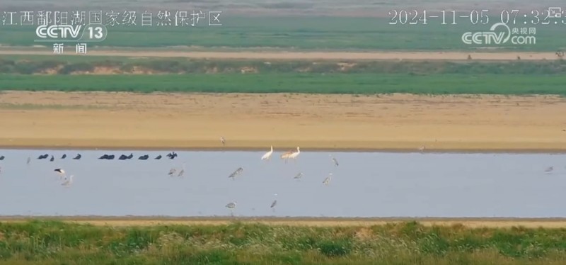 “旅行者”来做客，“美食”多样！唯美生态画卷颜值不断被“刷新”