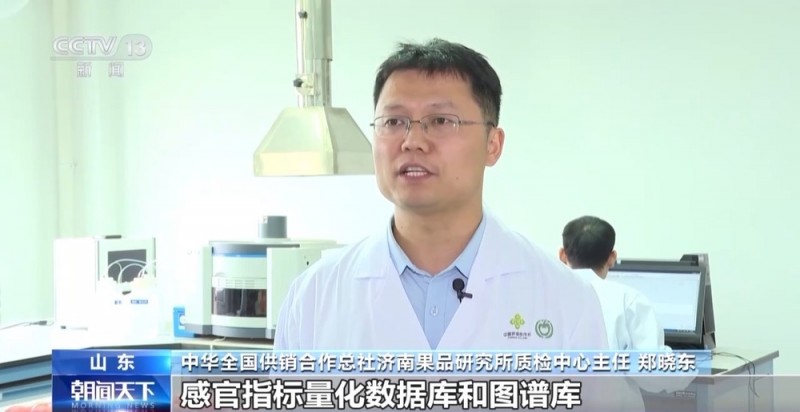 世界第一的中国苹果 来看看它们的“证件照”