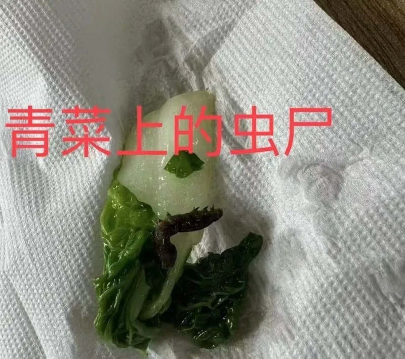 看丹观察丨每月1400元餐标的学校食堂吃出虫子？网友：心太黑！