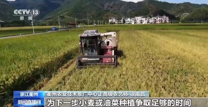 大丰收！全国多地同太空水稻一起传来丰收消息