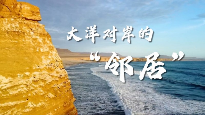 微视频｜大洋对岸的“邻居”