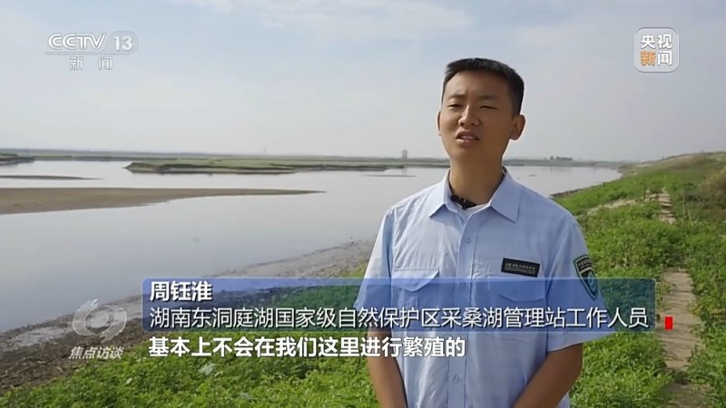 焦点访谈丨他曾为驱赶候鸟损失了三节指骨  如今为何加入了护飞队？