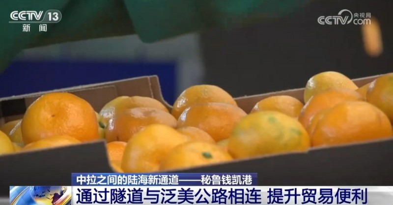 “从钱凯到上海”  中拉陆海新通道预示着一个蓬勃发展的海运时代