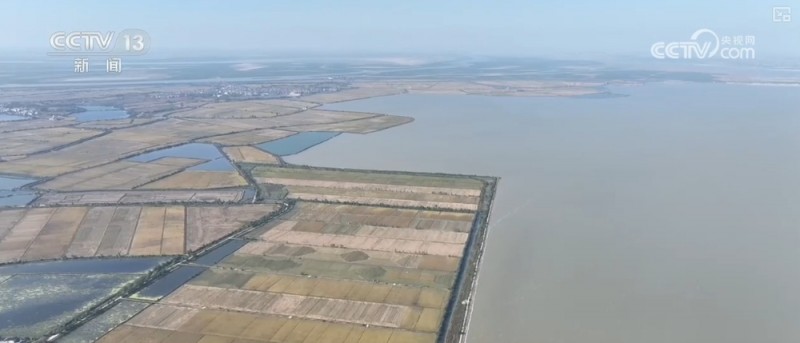 “旅行者”来做客，“美食”多样！唯美生态画卷颜值不断被“刷新”