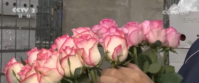 “花经济”展新“颜” “颜值”变“产值”身价倍增走俏海外
