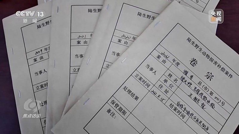 焦点访谈丨他曾为驱赶候鸟损失了三节指骨  如今为何加入了护飞队？