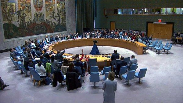 联合国安理会表决苏丹停火决议草案:中美等14国赞成,俄罗斯否决