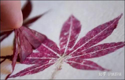 为什么古代紫色稀有?明明蓝红可以调出来?