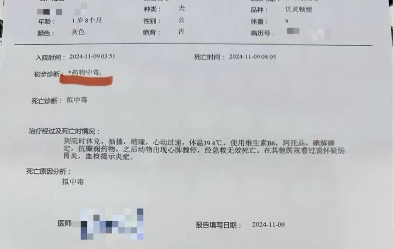 广州超40只宠物狗疑似中毒死亡  谁该承担法律责任？