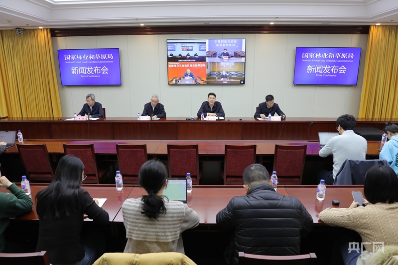 国家林草局：我国沙化土地面积净减少6500万亩 呈现“整体好转、改善加速”良好态势