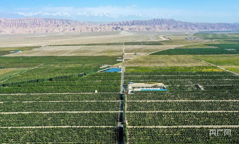 国家林草局：我国沙化土地面积净减少6500万亩 呈现“整体好转、改善加速”良好态势