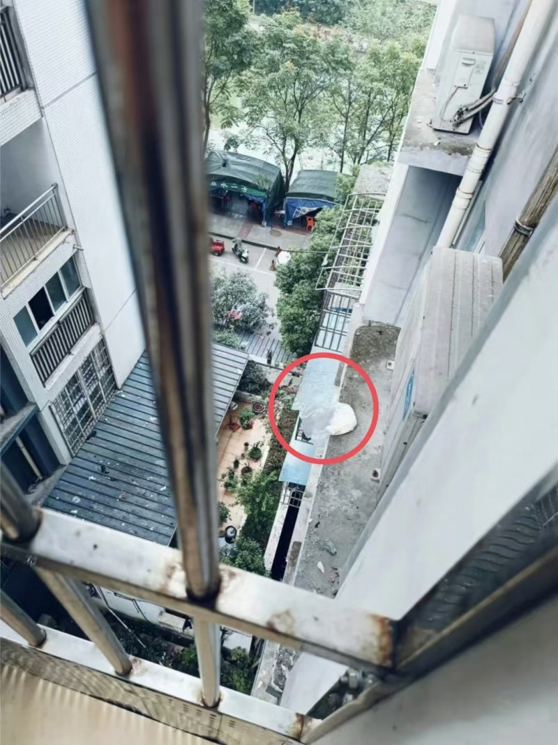 高空抛物频发背后：该如何守护“头顶安全”？