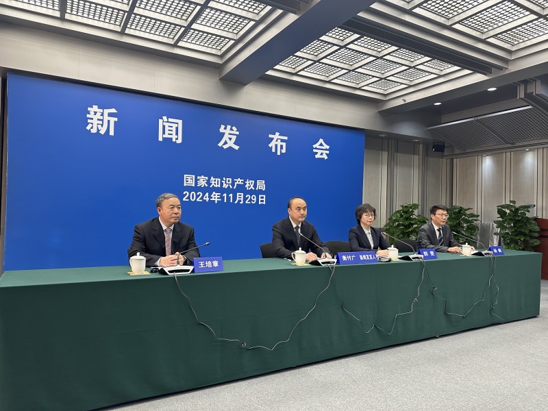 国家知识产权局：加强知识产权全链条保护  激发民营企业创新活力