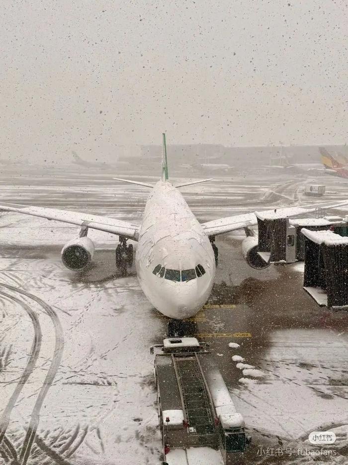 韩国强降雪致数百航班延误!有中国旅客滞留超48小时,便利店几乎被买空