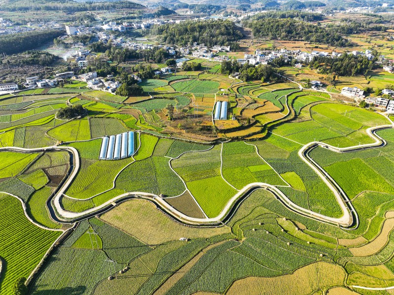 久久为功、持续发力！我国将从三个方向发力  开展新一轮农村公路提升行动