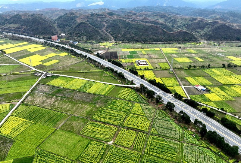 助力农民共享改革发展成果 持续推动农村公路高质量发展