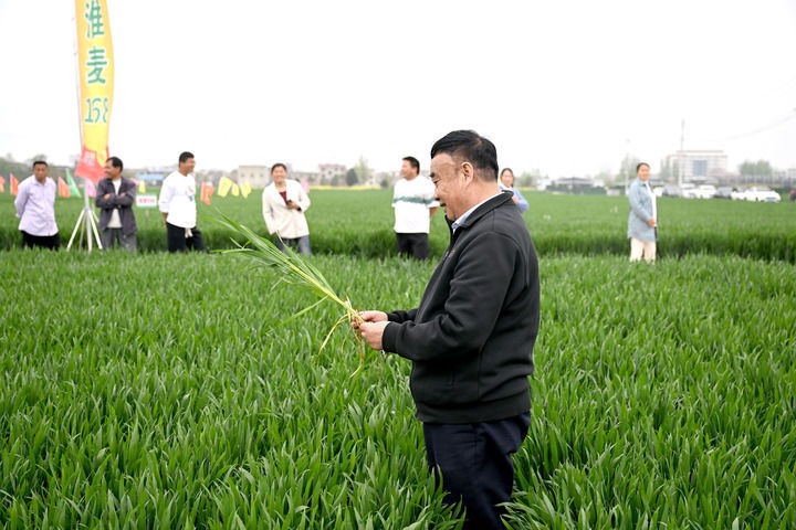 江淮粮仓“扩容”记