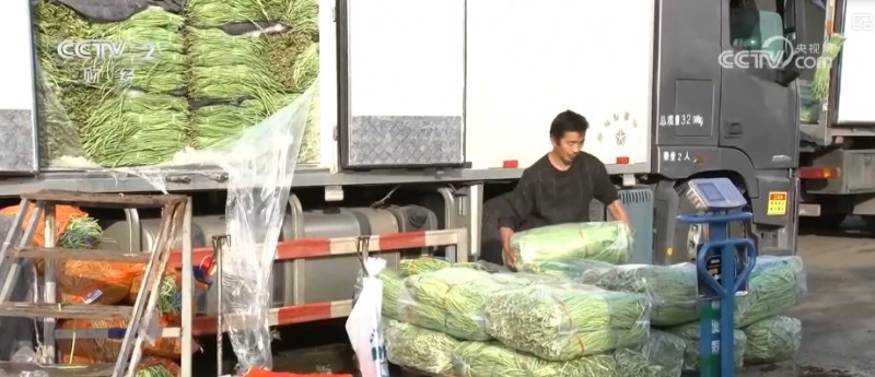 秋冬蔬菜生产供应基础较好 老百姓的“菜篮子”“果盘子”更丰富