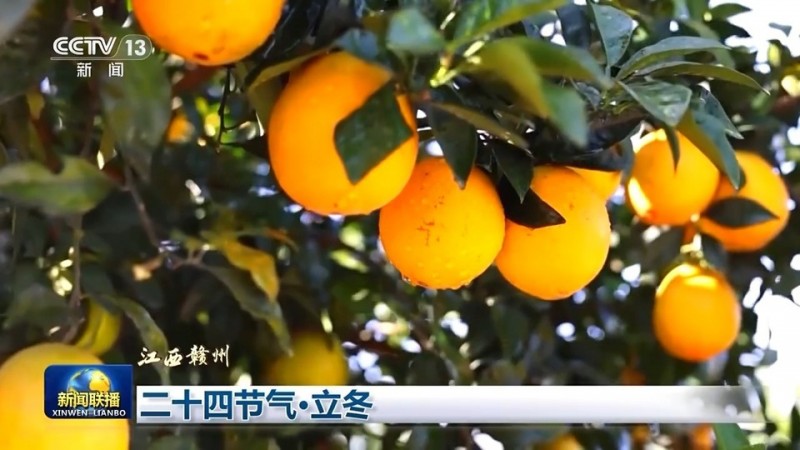 文化中国行丨二十四节气・立冬 领略大江南北冬日之美