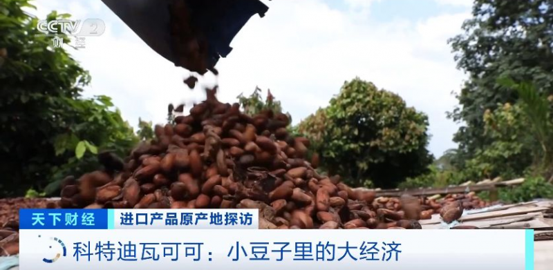 原产地好物直达！“可可大国、香草王国”：我家好物来进博→