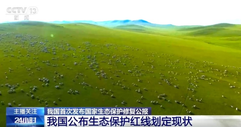 数说国家生态保护修复工作“成绩单” 打造美丽家园贡献出“中国方案”