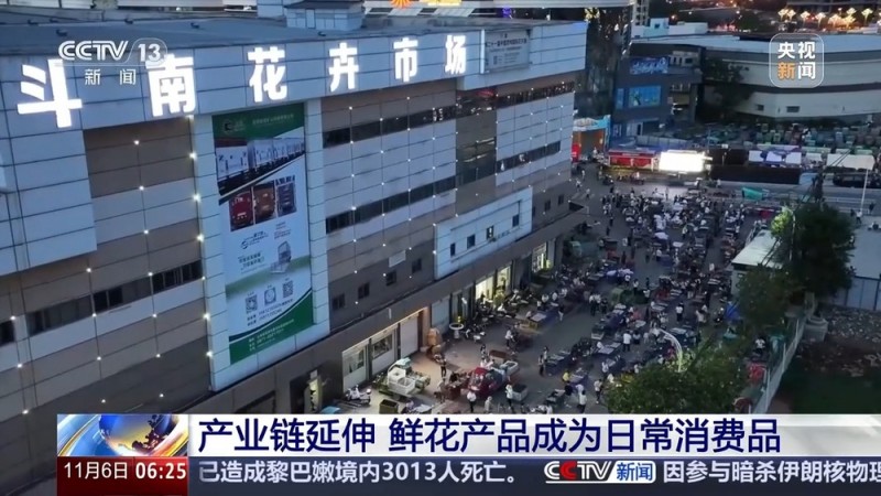 全年销售额将破2000亿 我国卖出的花花可绕地球多少圈？