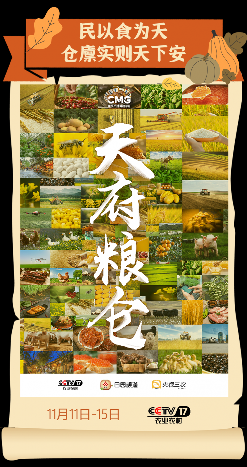 总台周看点丨共创美好未来！