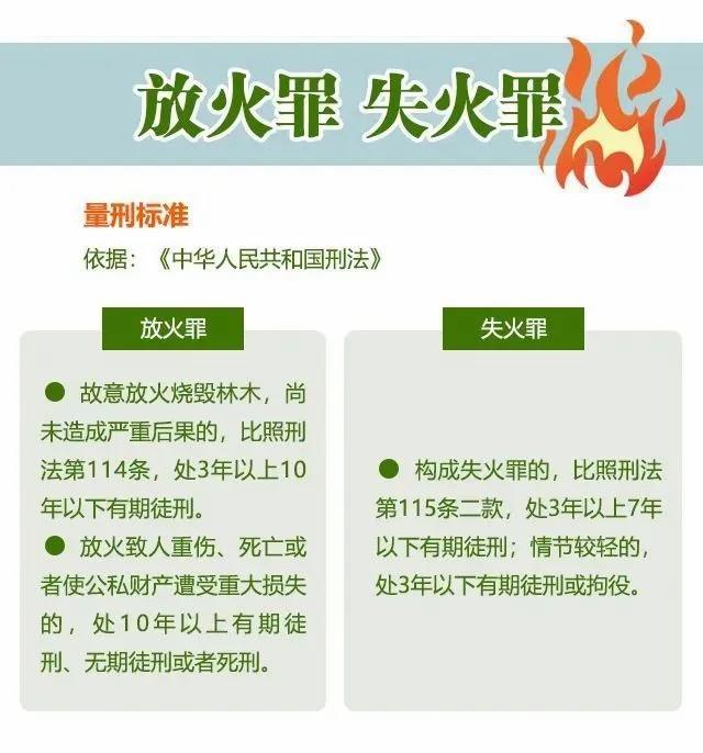 全网谴责！12人被处罚 进入林区这10件事“火”不得