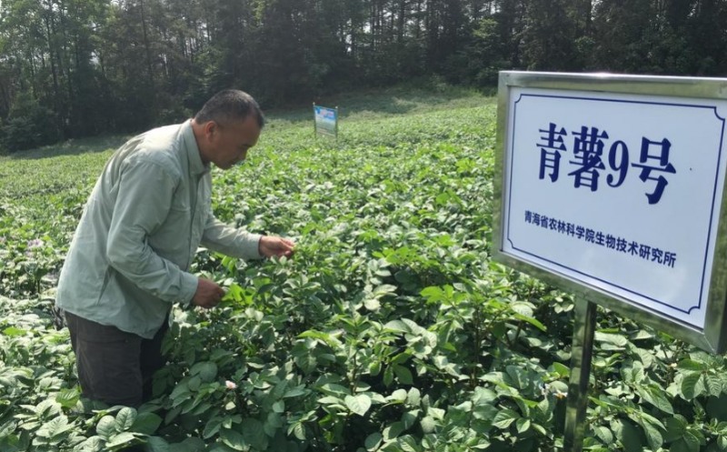 【中国那些事儿】“跨越山海到餐桌” 中秘农业合作与繁荣之路越走越宽