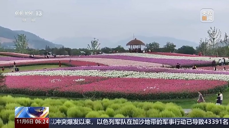 全年销售额将破2000亿 我国卖出的花花可绕地球多少圈？