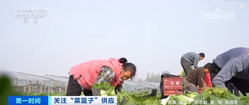 秋冬蔬菜生产供应基础较好 老百姓的“菜篮子”“果盘子”更丰富