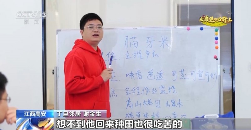 大丰收！全国多地同太空水稻一起传来丰收消息