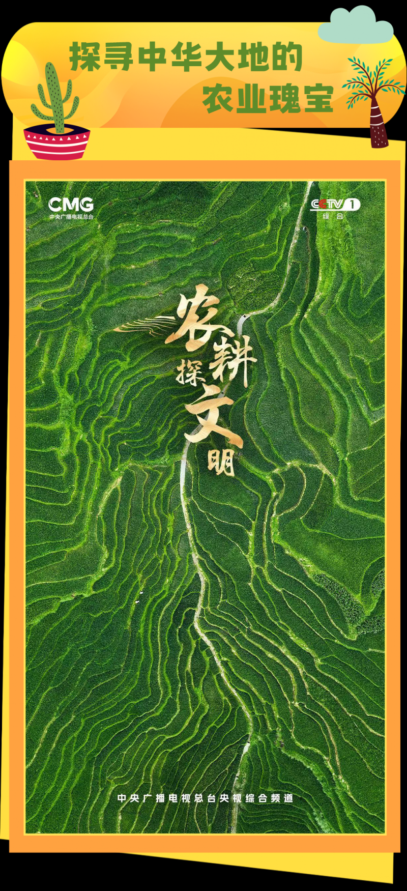 总台周看点｜携手扬帆！