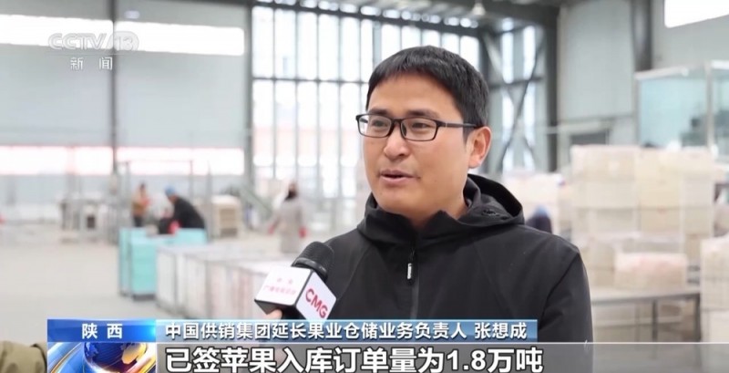 世界第一的中国苹果 来看看它们的“证件照”
