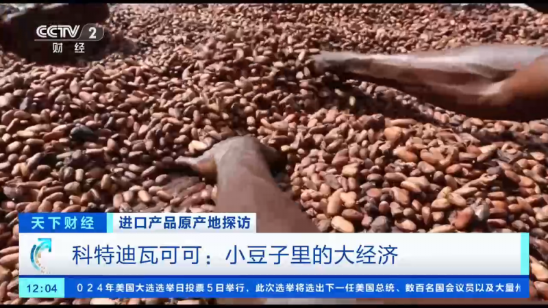 原产地好物直达！“可可大国、香草王国”：我家好物来进博→