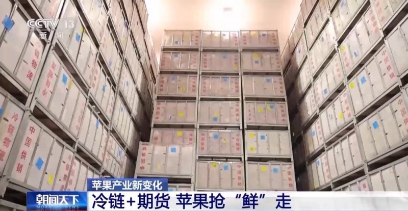 世界第一的中国苹果 来看看它们的“证件照”