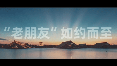 进博会｜开放・合作・共享
