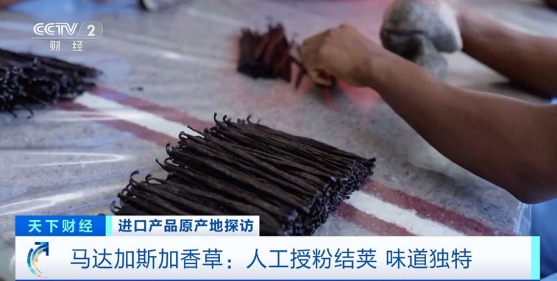 原产地好物直达！“可可大国、香草王国”：我家好物来进博→