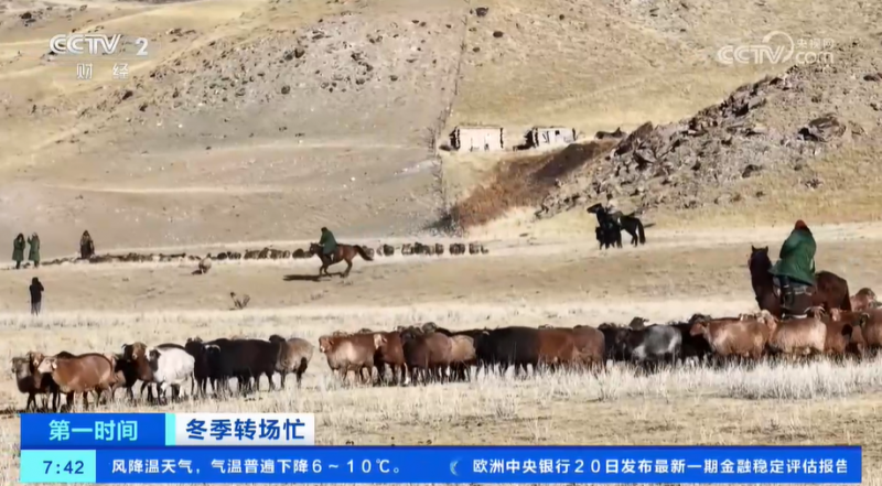 冬季转场忙 新疆伊犁河谷开启冬季转场 一起去看牧民们的转场生活