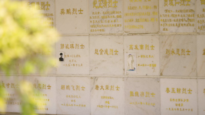 鲲鹏再展翅，英雄归故乡――写在第十一批在韩中国人民志愿军烈士遗骸归国之际