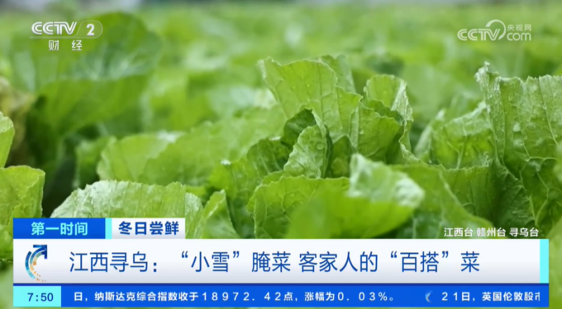 小雪节气 “菜篮子”也丰富 大棚蔬菜上市 冬笋、咸菜正当时