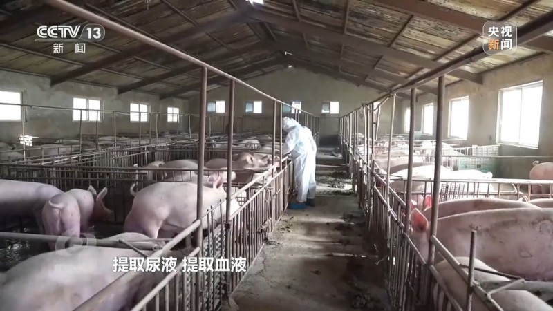 焦点访谈丨履职清单为基层减负效果如何？来听一线的声音
