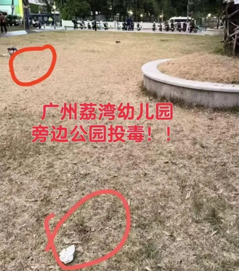 超40只宠物狗疑似中毒死亡！当地通报→