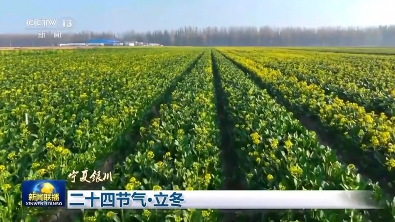 文化中国行丨二十四节气・立冬 领略大江南北冬日之美