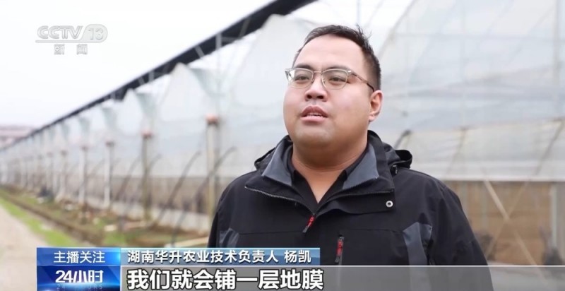 蔬菜也要盖棉被 寒潮下蔬菜这样稳产保供