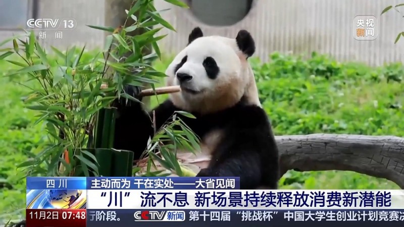 大省见闻丨四川：向新而行 向质图强