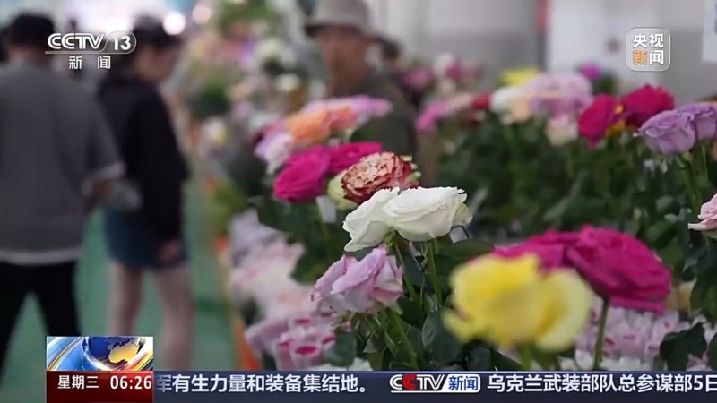 全年销售额将破2000亿 我国卖出的花花可绕地球多少圈？